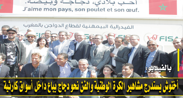 دجاج