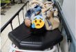 IMG 20230504 WA0004